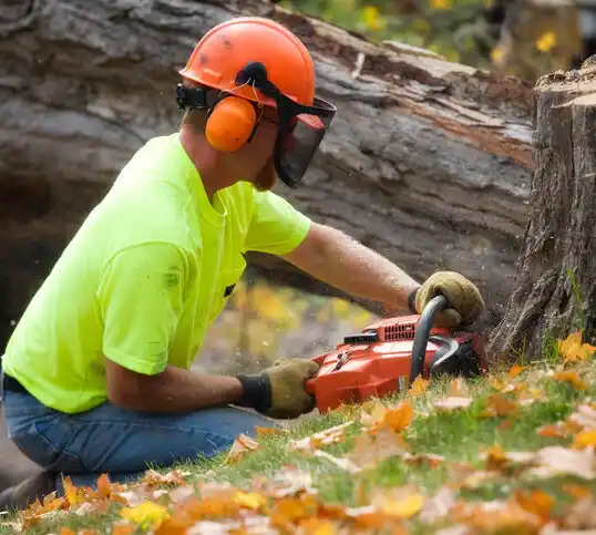 tree services Conneaut